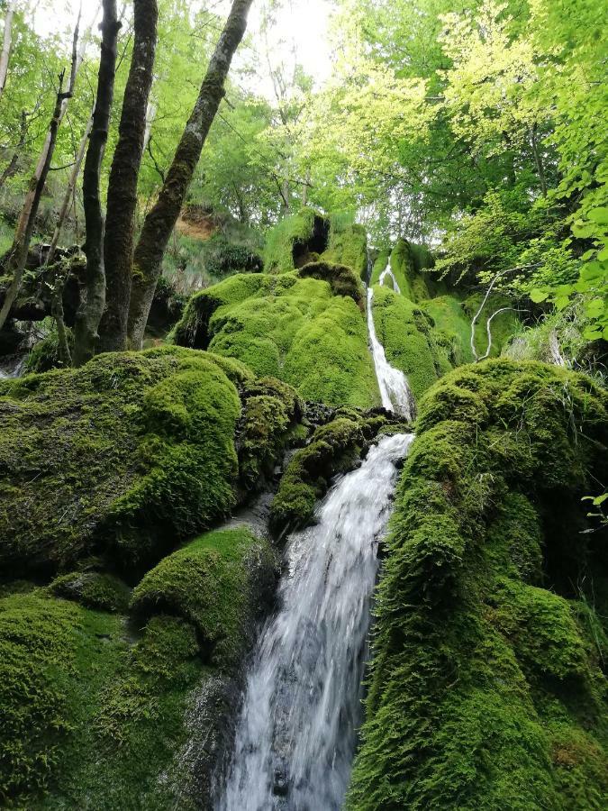 La Morada De Andoinヴィラ エクステリア 写真